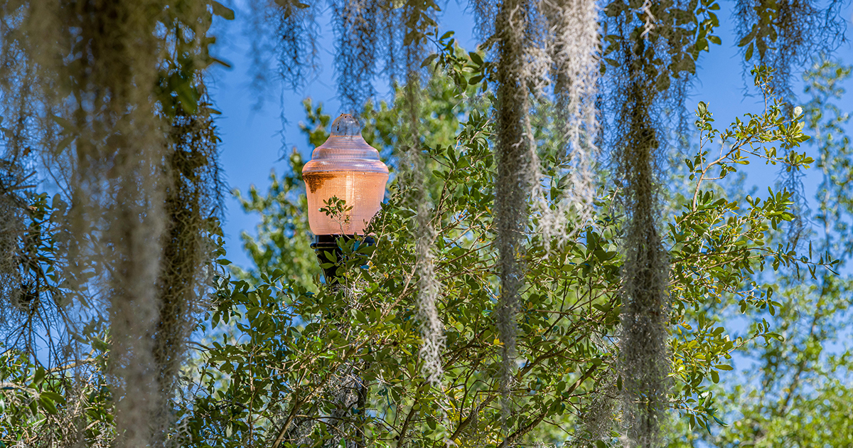 Streetlamp closeup